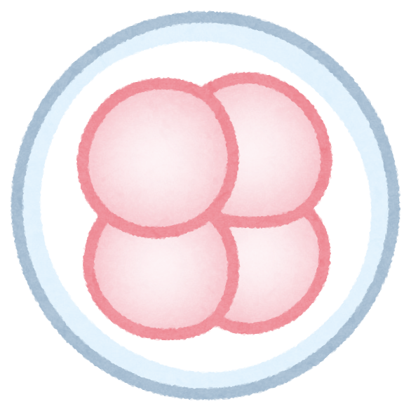 f:id:kanakanakocchi:20190512135611p:plain f:id:kanakanakocchi:20190512135611p:plain