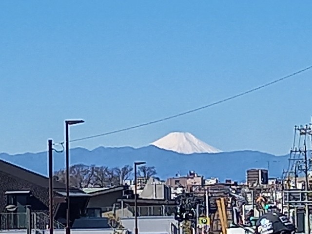 f:id:kanako-a0323:20210308193032j:image