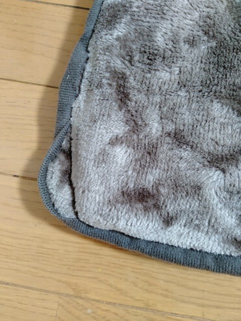 f:id:kanako20:20210905083656j:image f:id:kanako20:20210905083656j:image