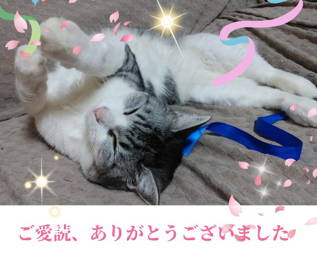 f:id:kanakonoheya:20220514191203j:image f:id:kanakonoheya:20220514191203j:image