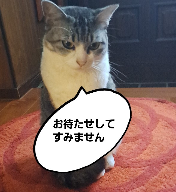 f:id:kanakonoheya:20221112192558j:image
