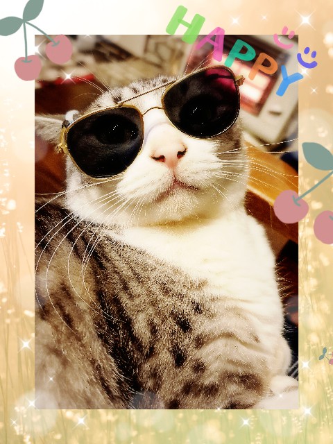 f:id:kanakonoheya:20230321192550j:image