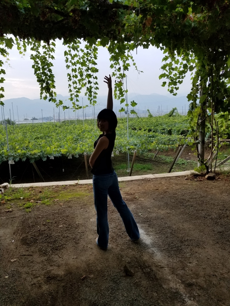f:id:kanakoxisono:20170811001746j:plain
