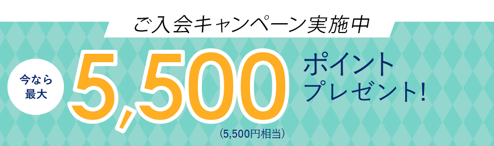f:id:kanamalu:20171001093340p:plain