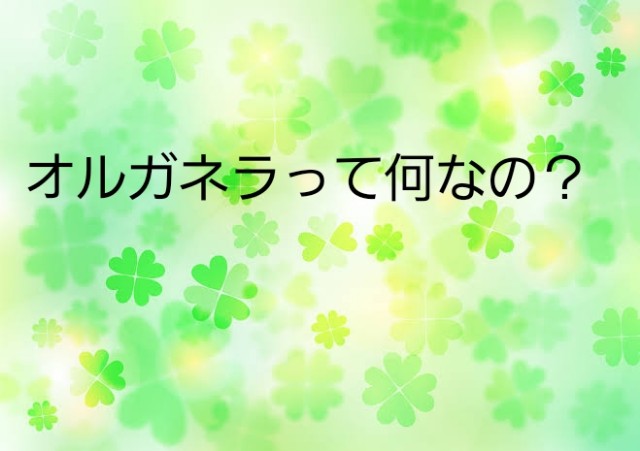 f:id:kanamemochi:20190513002325j:image