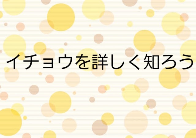 f:id:kanamemochi:20190517092924j:image