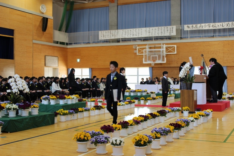 平成27年度第47回卒業式 ぽぽたん日記 平成27年度第47回卒業式 ぽぽたん日記
