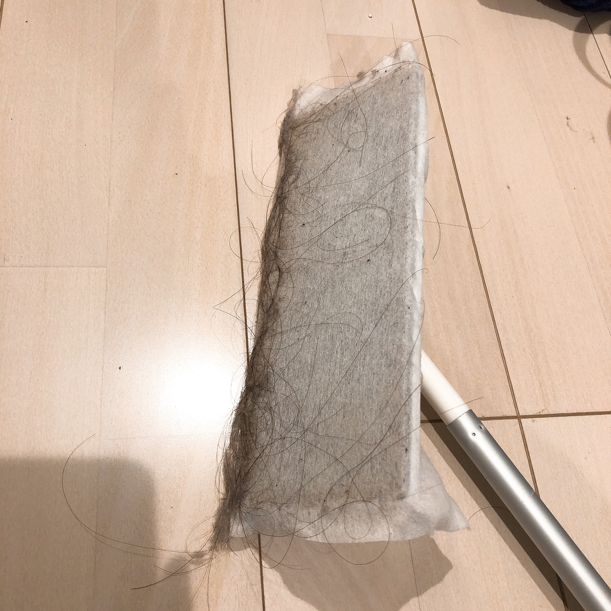 f:id:kanapei:20190503230941j:plain