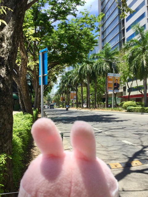 f:id:kanapycebu:20200323182022j:plain f:id:kanapycebu:20200323182022j:plain
