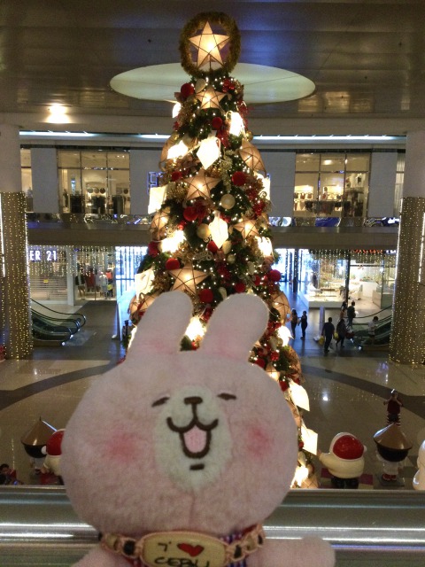 f:id:kanapycebu:20201116092418j:plain