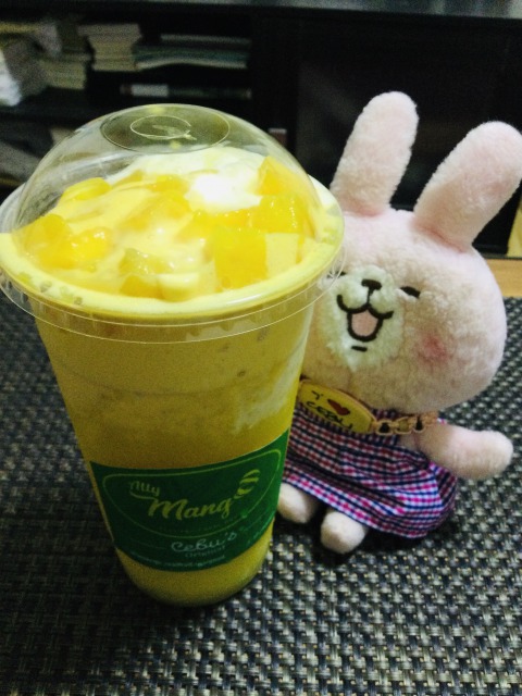f:id:kanapycebu:20201122100612j:plain