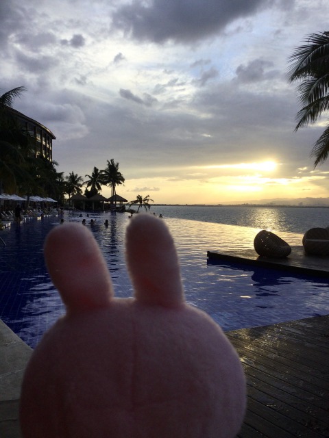 f:id:kanapycebu:20210310091005j:plain