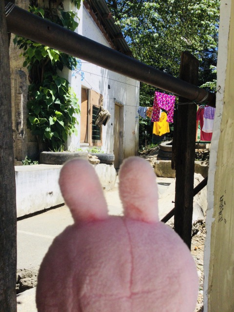 f:id:kanapycebu:20210419081309j:plain