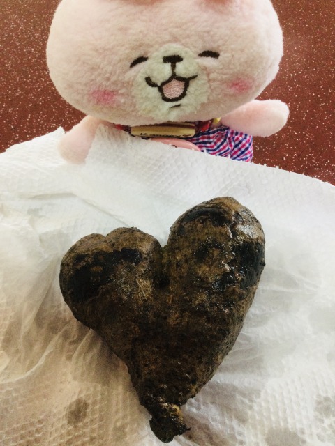 f:id:kanapycebu:20210504105950j:plain