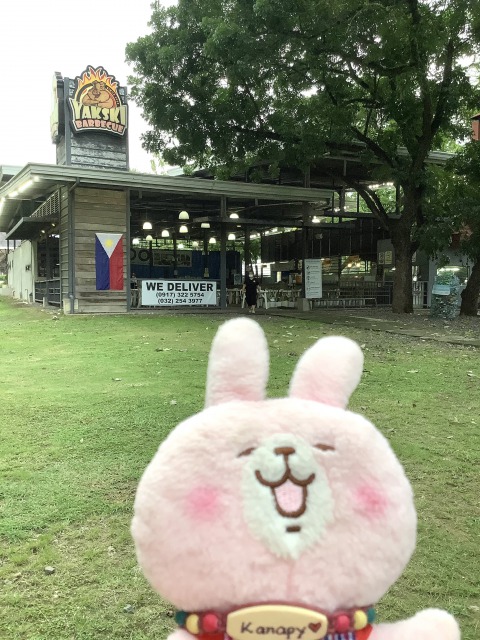 f:id:kanapycebu:20210613085607j:plain