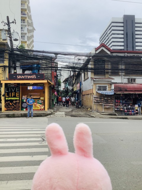 f:id:kanapycebu:20210811091506j:plain