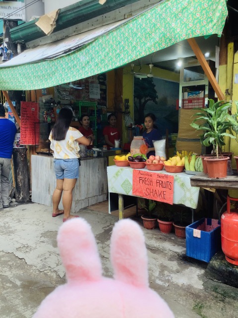 f:id:kanapycebu:20210811091851j:plain