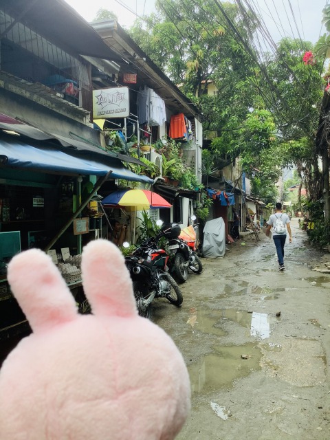 f:id:kanapycebu:20210811092332j:plain