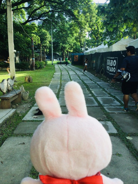f:id:kanapycebu:20211024083311j:plain