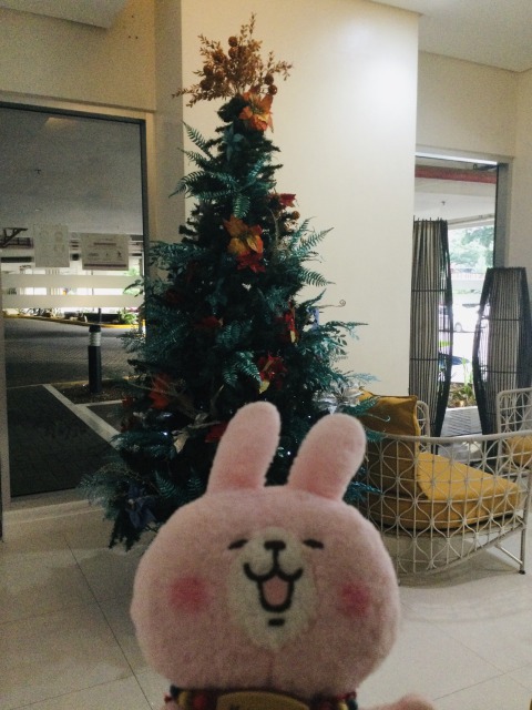 f:id:kanapycebu:20211031075700j:plain