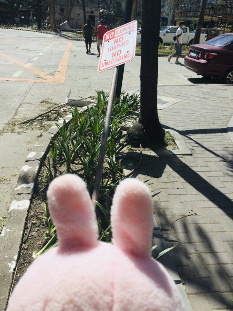 f:id:kanapycebu:20211220124644j:plain