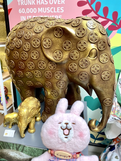 タイと言えばゾウさん！チェンマイの街で見かけるゾウさんいろいろ