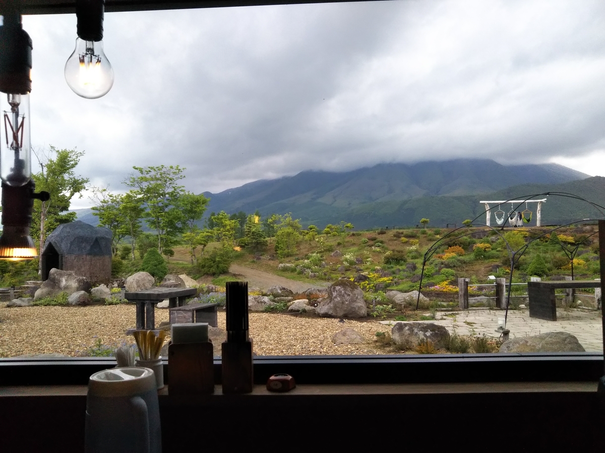 f:id:kanariainko:20210601222141j:plain