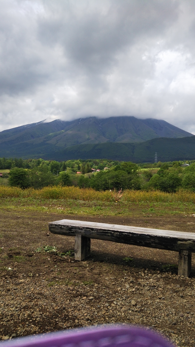 f:id:kanariainko:20210601222443j:plain