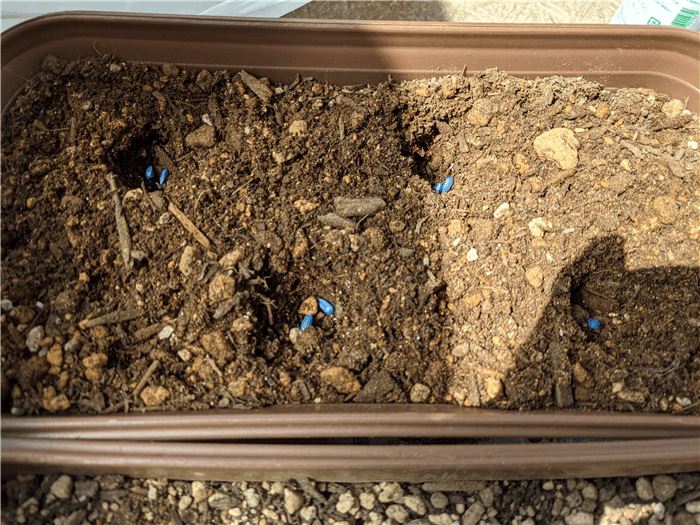 f:id:kanaxx43:20210403115353j:plain