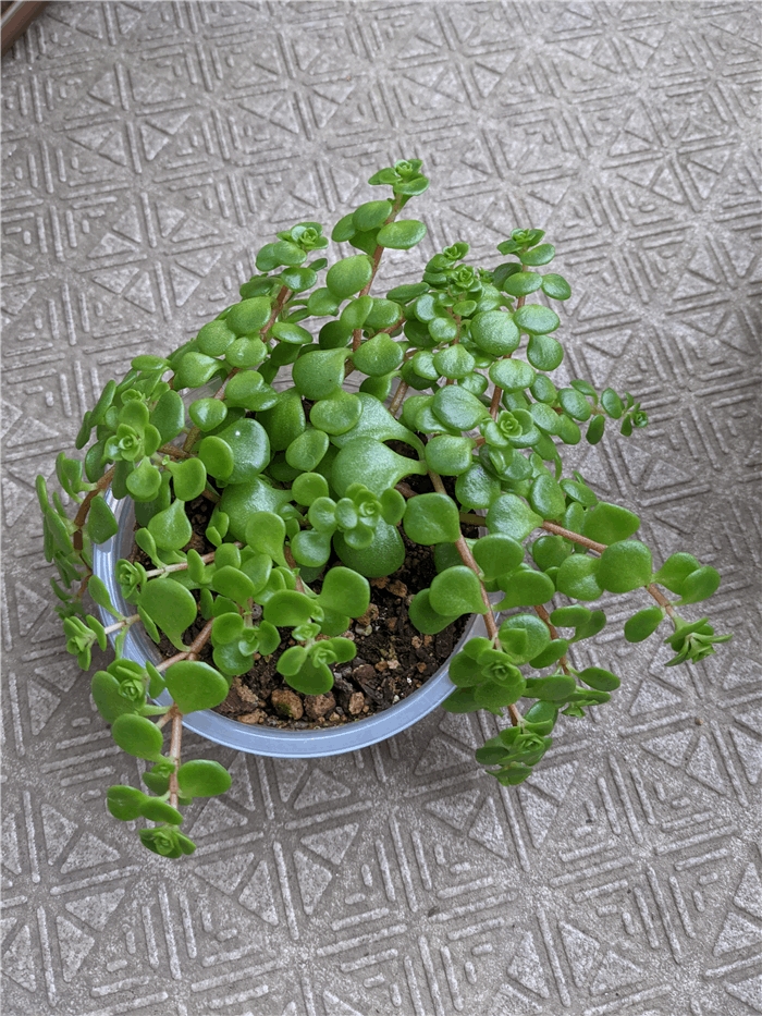 f:id:kanaxx43:20211027080126j:plain