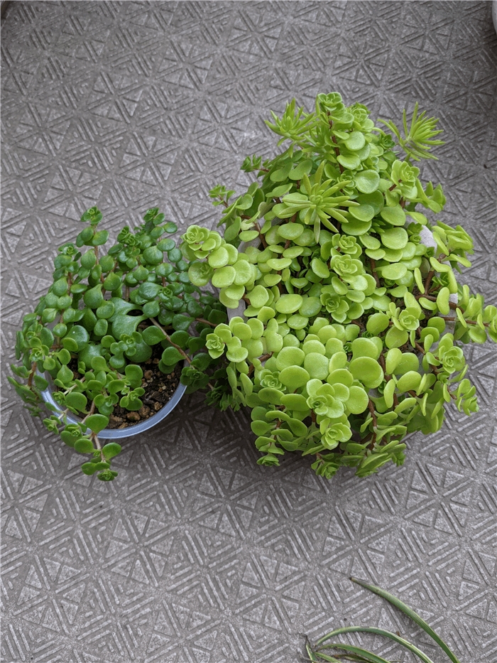 f:id:kanaxx43:20211027080127j:plain