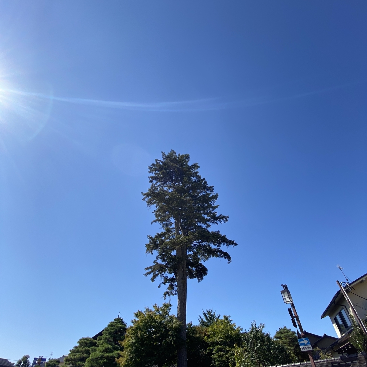 f:id:kanazawabiiki:20201017113646j:plain f:id:kanazawabiiki:20201017113646j:plain