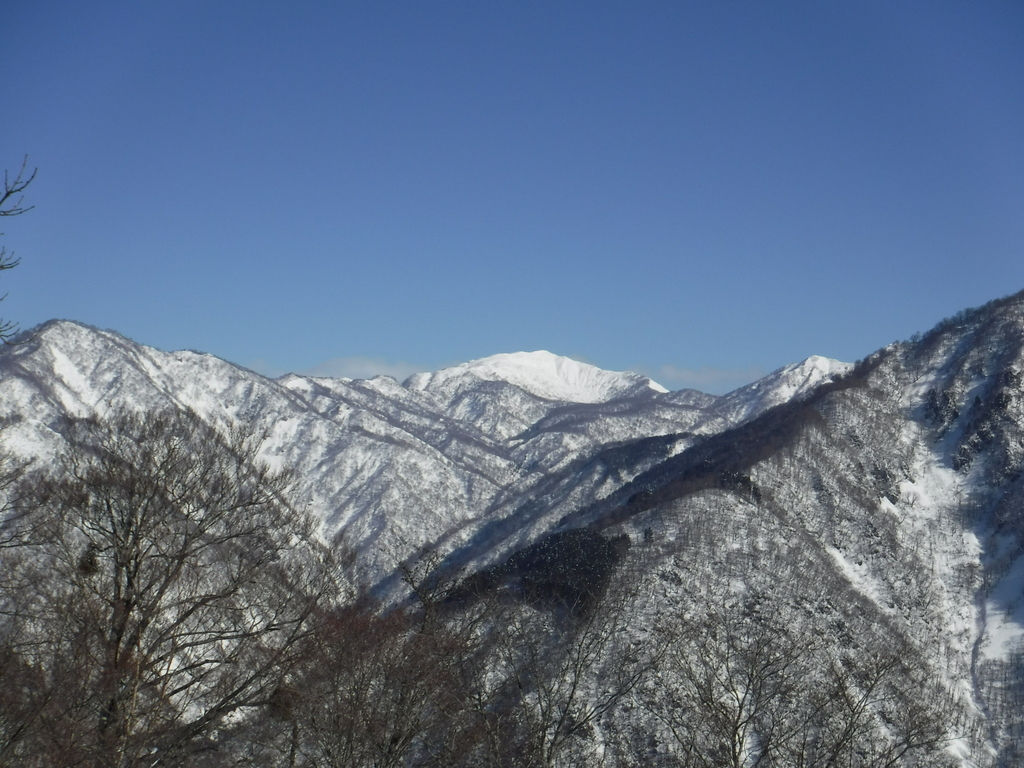 f:id:kanazawajazzdays:20190113174029j:plain