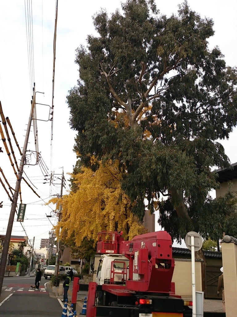f:id:kanbanmart:20181009141701j:plain