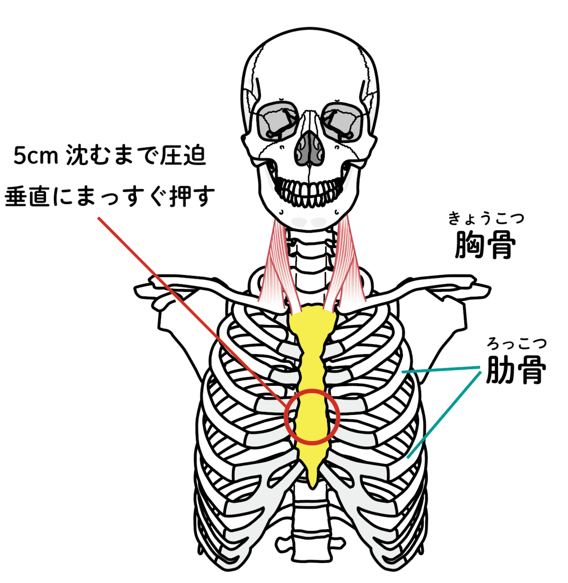 f:id:kanbanmart:20191007171859p:plain