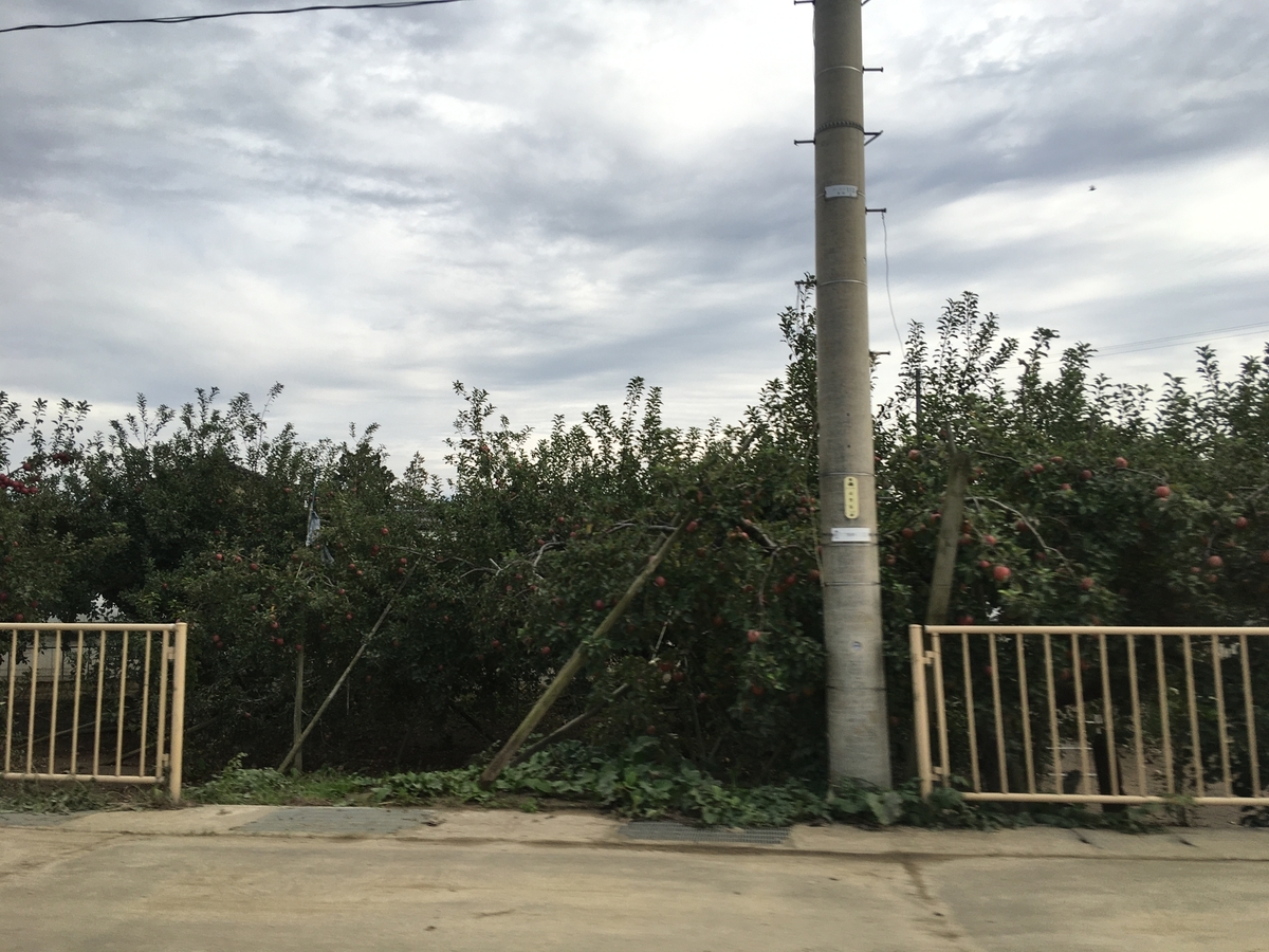f:id:kanbanmart:20191105102748j:plain f:id:kanbanmart:20191105102748j:plain