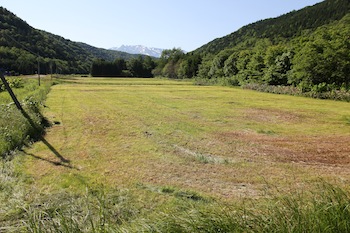 f:id:kanbaringo:20120627224225j:image
