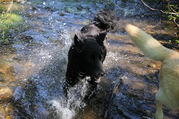 f:id:kanbaringo:20120627224230j:image
