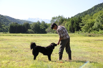 f:id:kanbaringo:20120627224232j:image