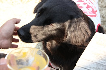 f:id:kanbaringo:20120627224259j:image