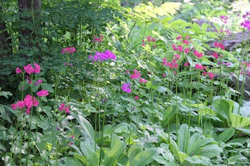 f:id:kanbaringo:20120627224305j:image