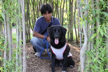 f:id:kanbaringo:20120627224309j:image