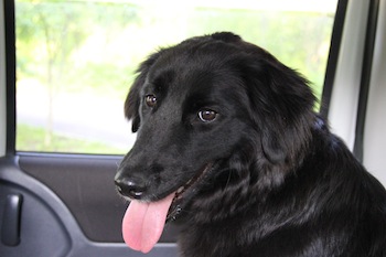 f:id:kanbaringo:20120627224312j:image