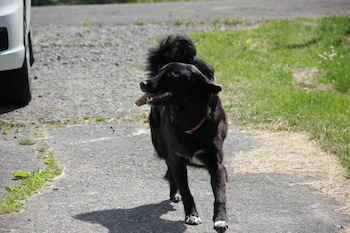 f:id:kanbaringo:20120627224939j:image