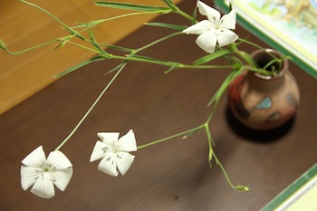 f:id:kanbaringo:20120627224953j:image