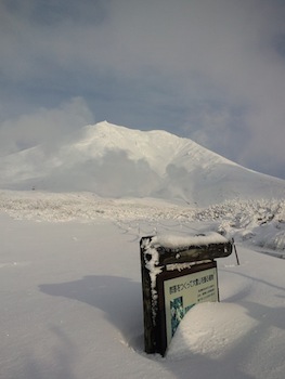 f:id:kanbaringo:20121101174532j:image:w360