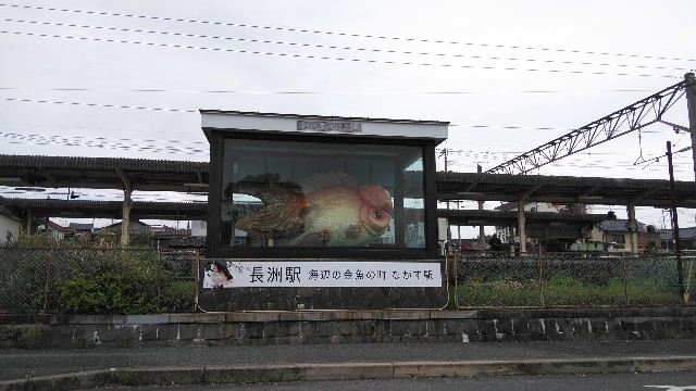 f:id:kanbocho:20200516195759j:image