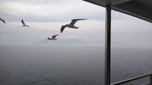 f:id:kanbocho:20200516195905j:image