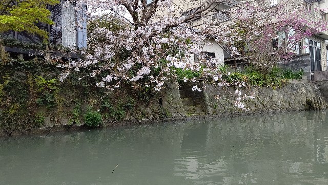 f:id:kanbocho:20200520225911j:image