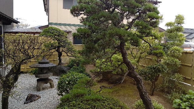 f:id:kanbocho:20200524223924j:image